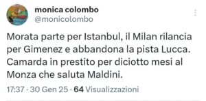 Morata Gimenez Camarda