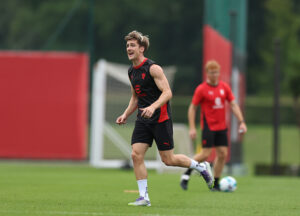 Saelemaekers sensibilità